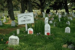 Gyvūnų kapinės